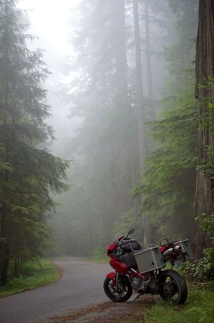 motorcycle luggage